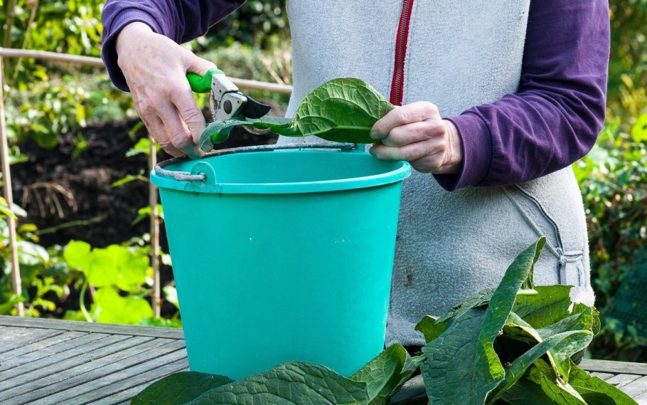 Биотех-ц корма для лошадей