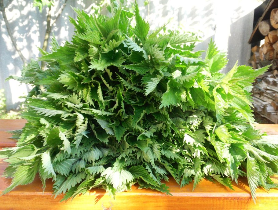 Крапивное удобрение