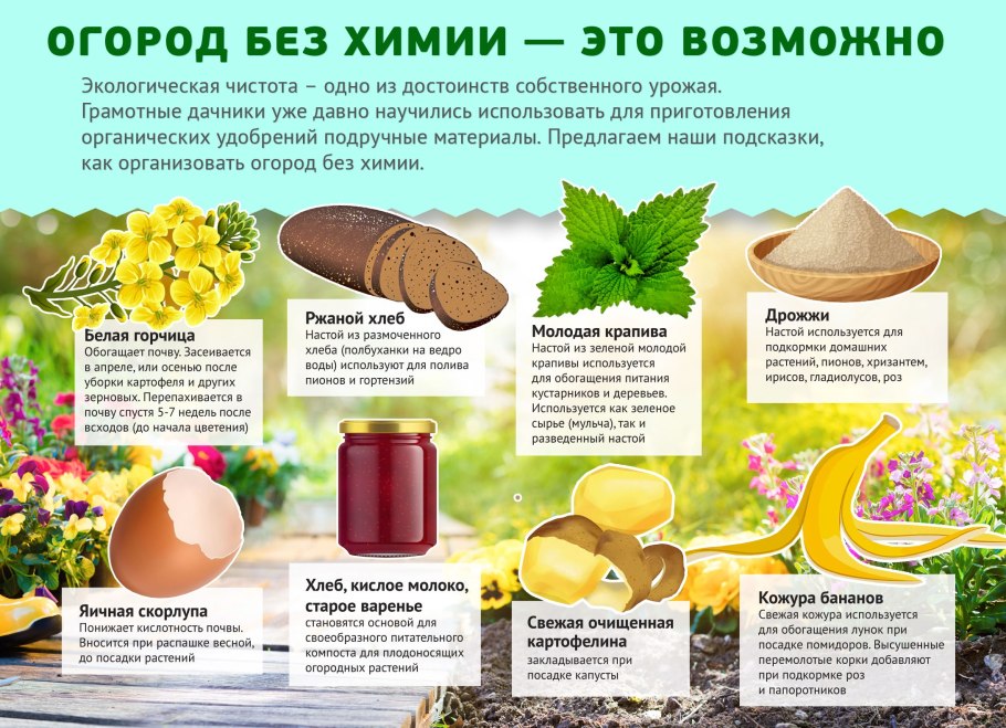 Мульчирование крапивой огурцов