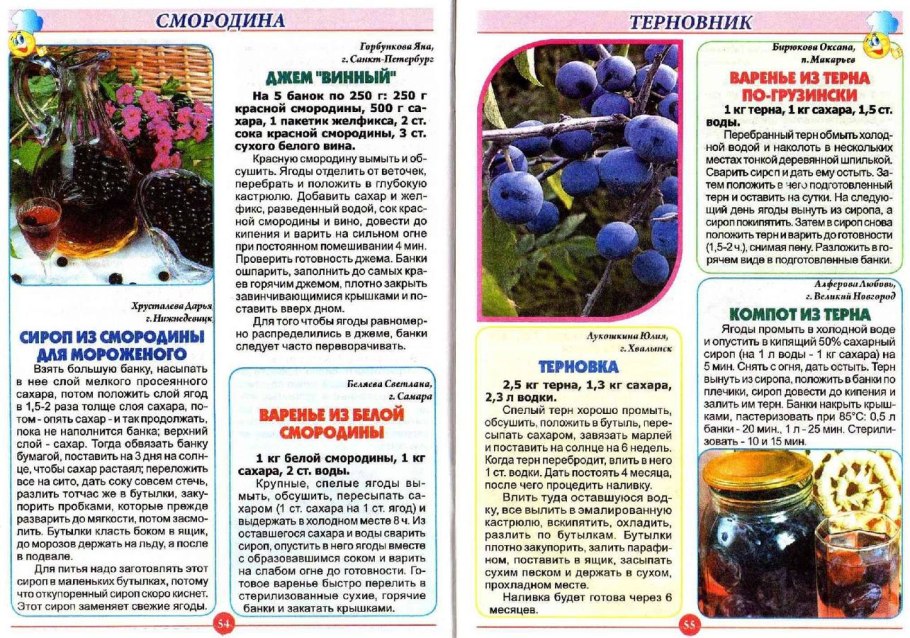 Рецепт вина из смородины таблица