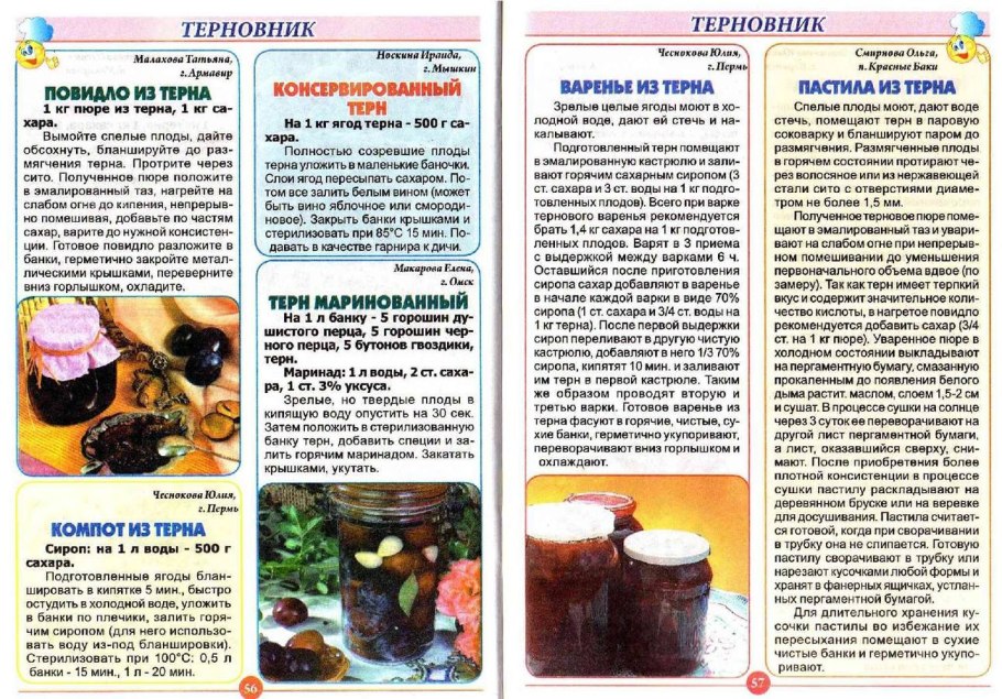 Тернослива приготовление