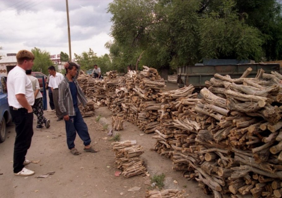 Саксаул дрова