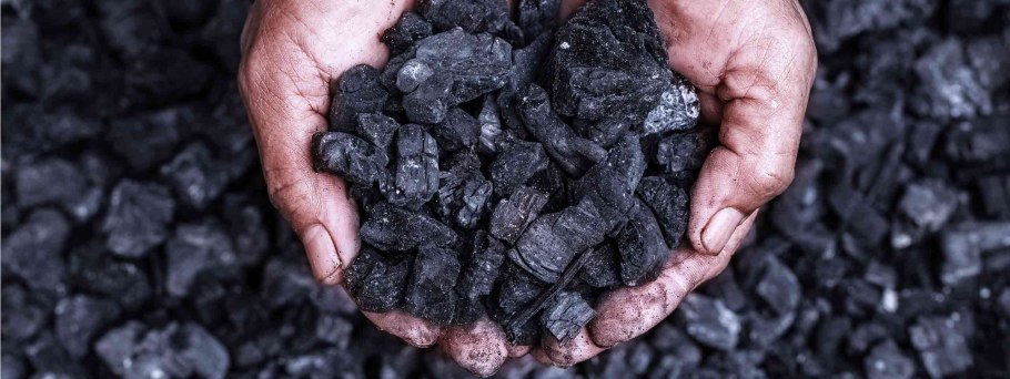 Аральское море саксаульный лес