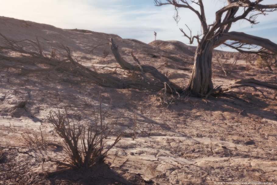 Коробка для шашлыка