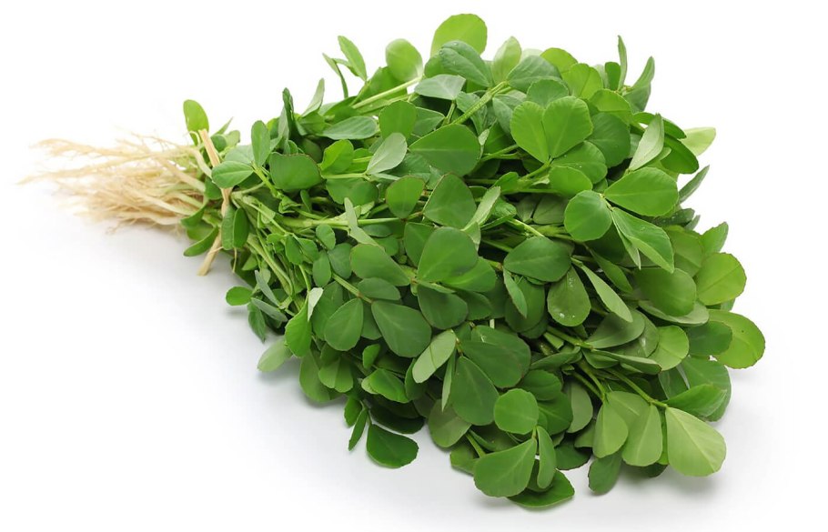 Листья пажитника