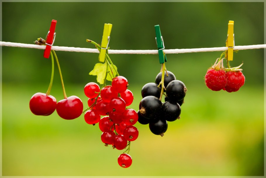 Смородина красная Йонкер Ван тетс