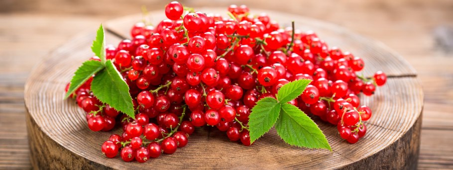 Смородина красная Натали