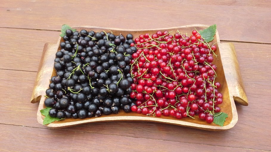 Красивая белая смородина