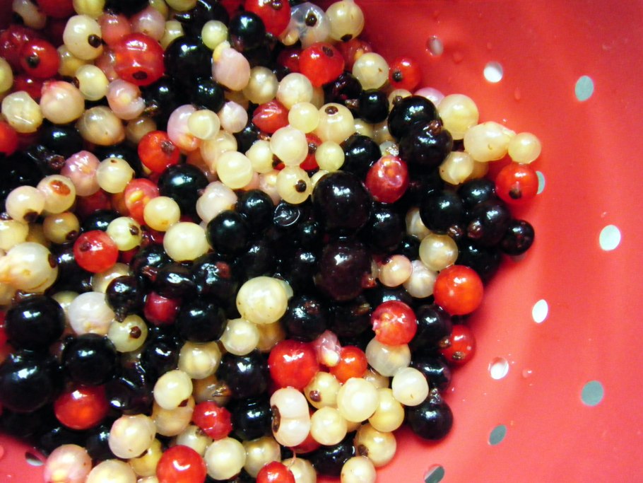 Неспелая красная смородина