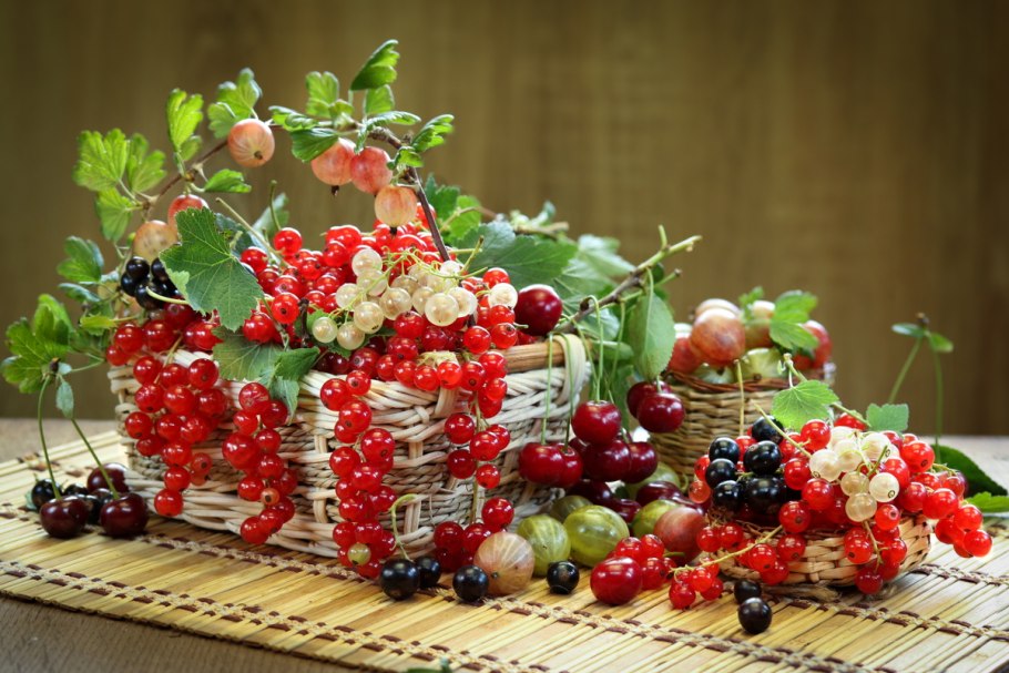 Саженцы красной смородины