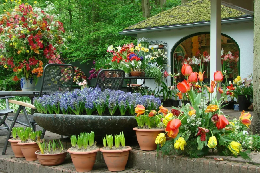 Цветы в огороде