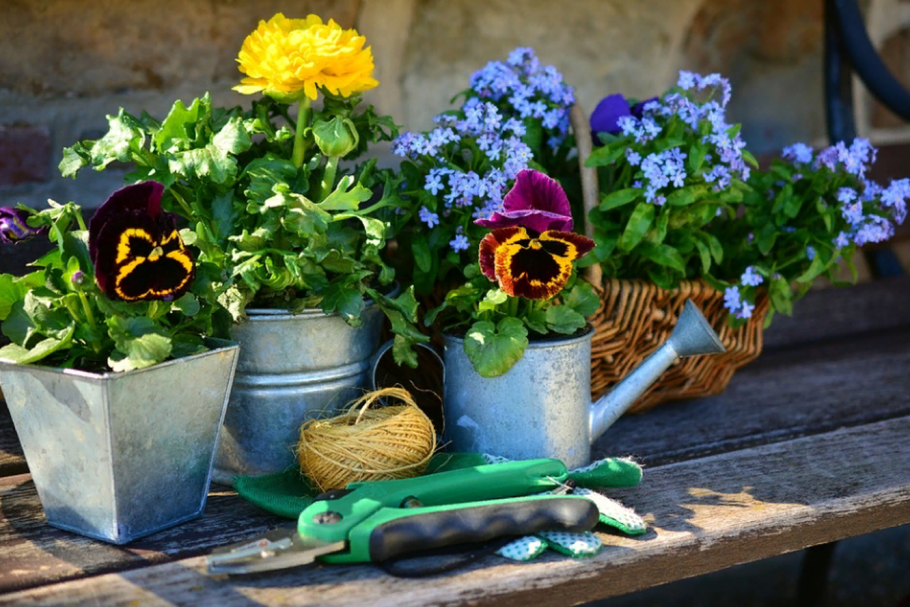 Садоводство цветоводство