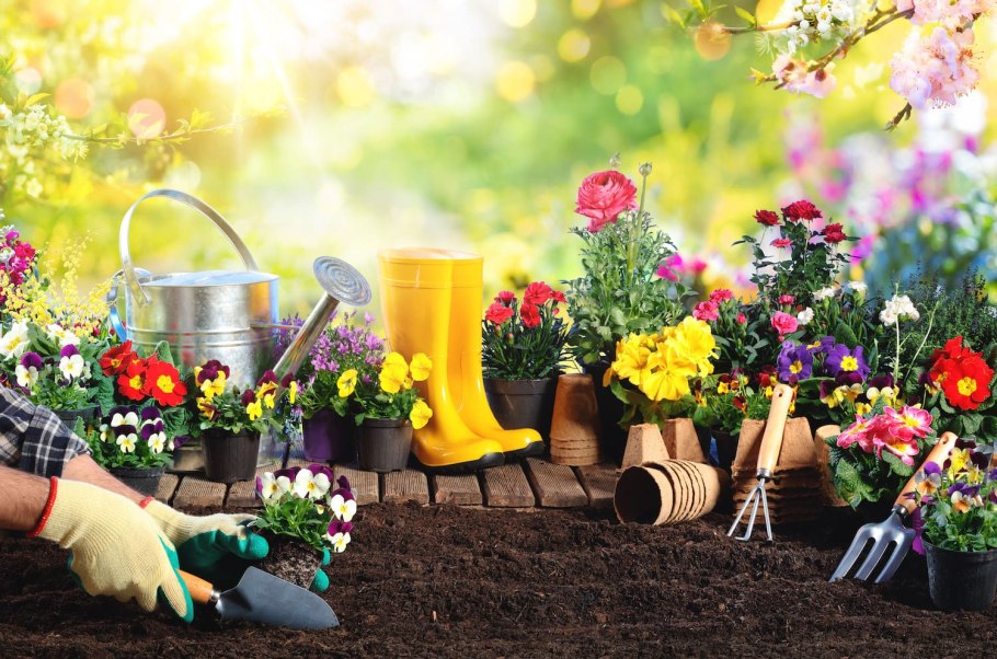 Хобби Садоводство