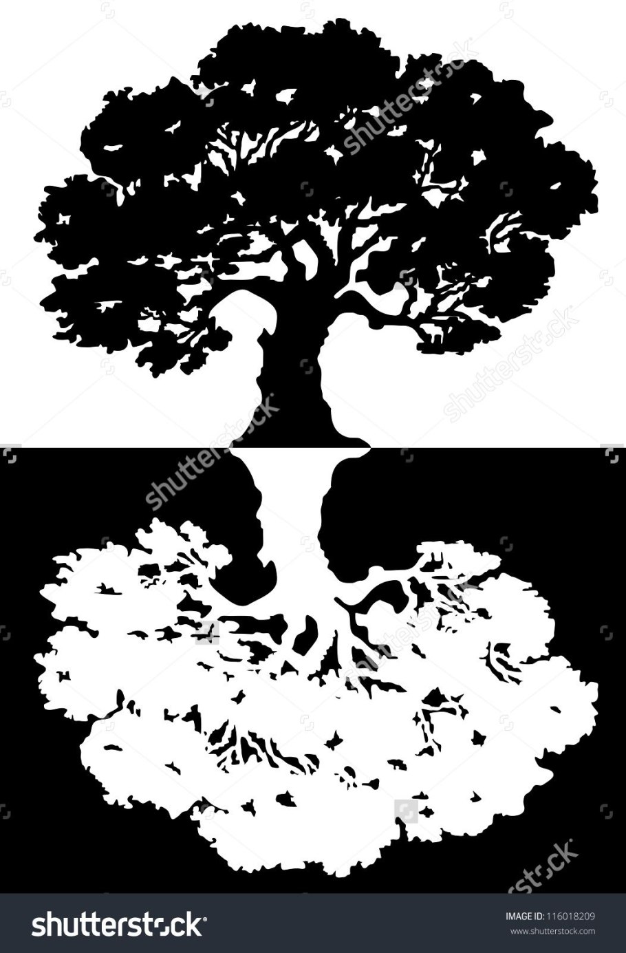 Дерево дуб черно белое