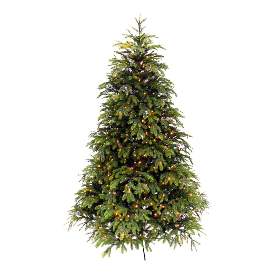 Ель французская Black Box