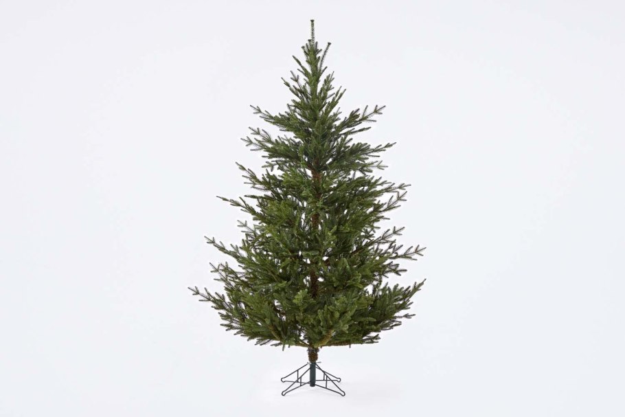 Ель Black Box Trees Norton h60d23 60см 1029754