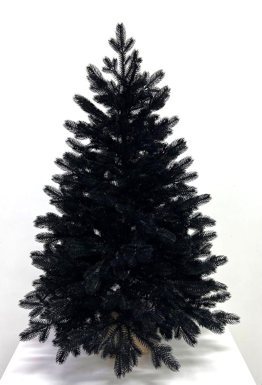 Ель черная Нана