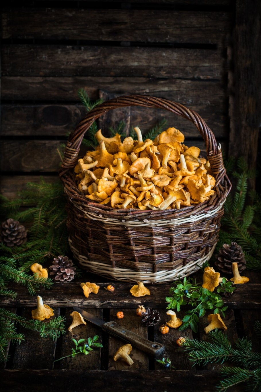 Лисички в лукошке