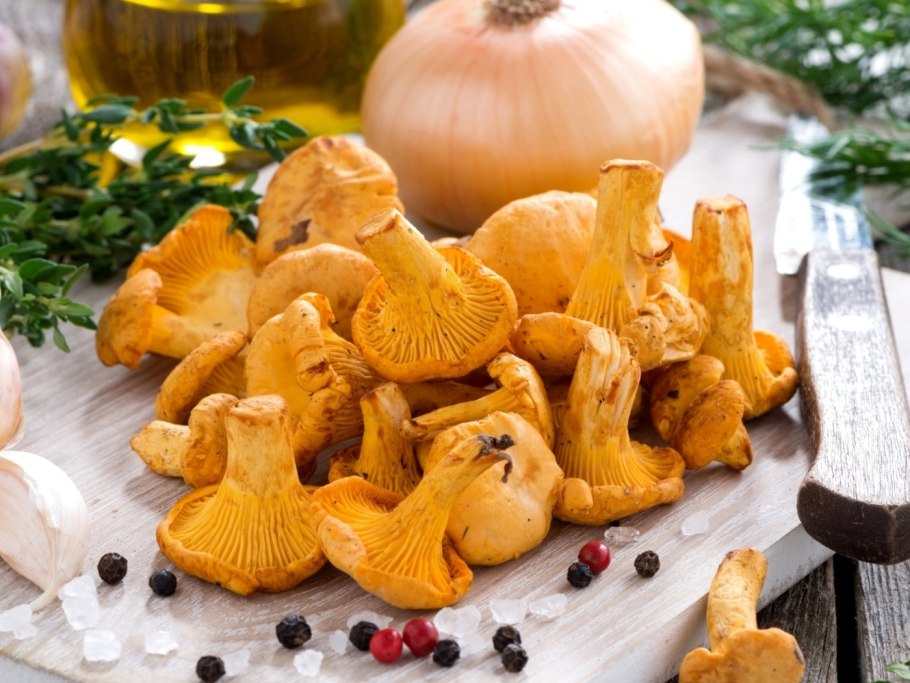 Грибы (лисички, сморчки, вешенка);