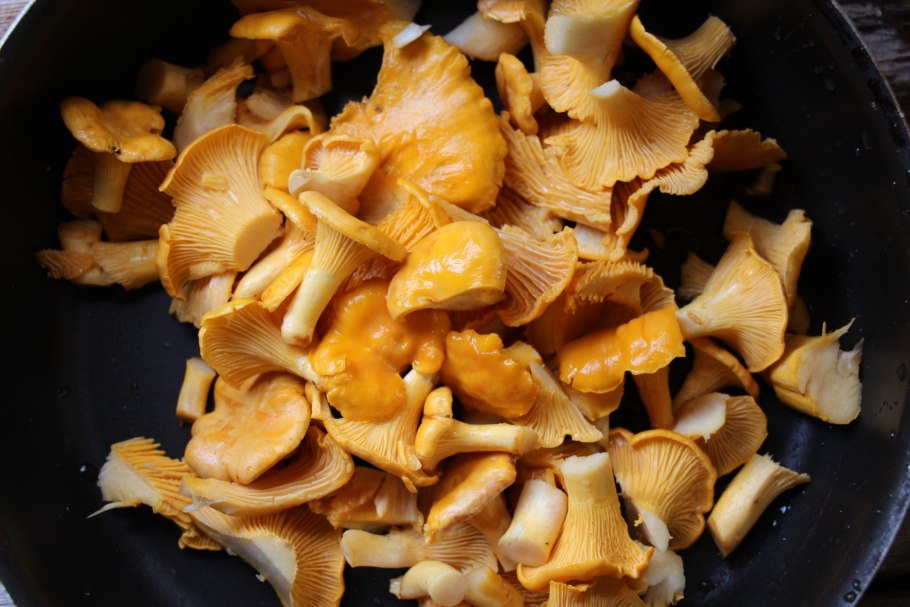 Грибы рыжики и лисички