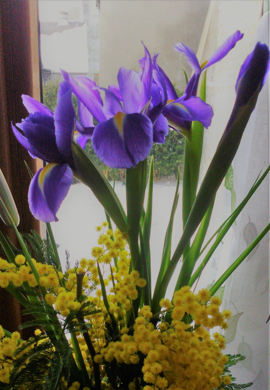 20 Февраля Водолей