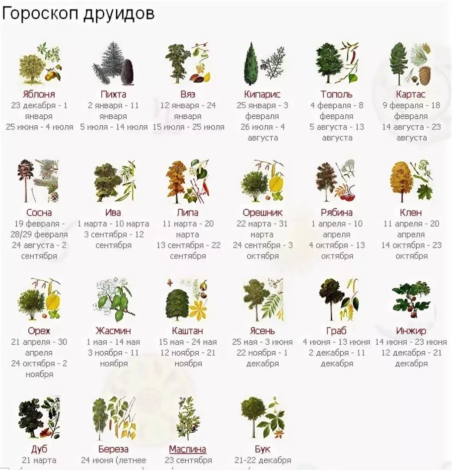 Майский гороскоп