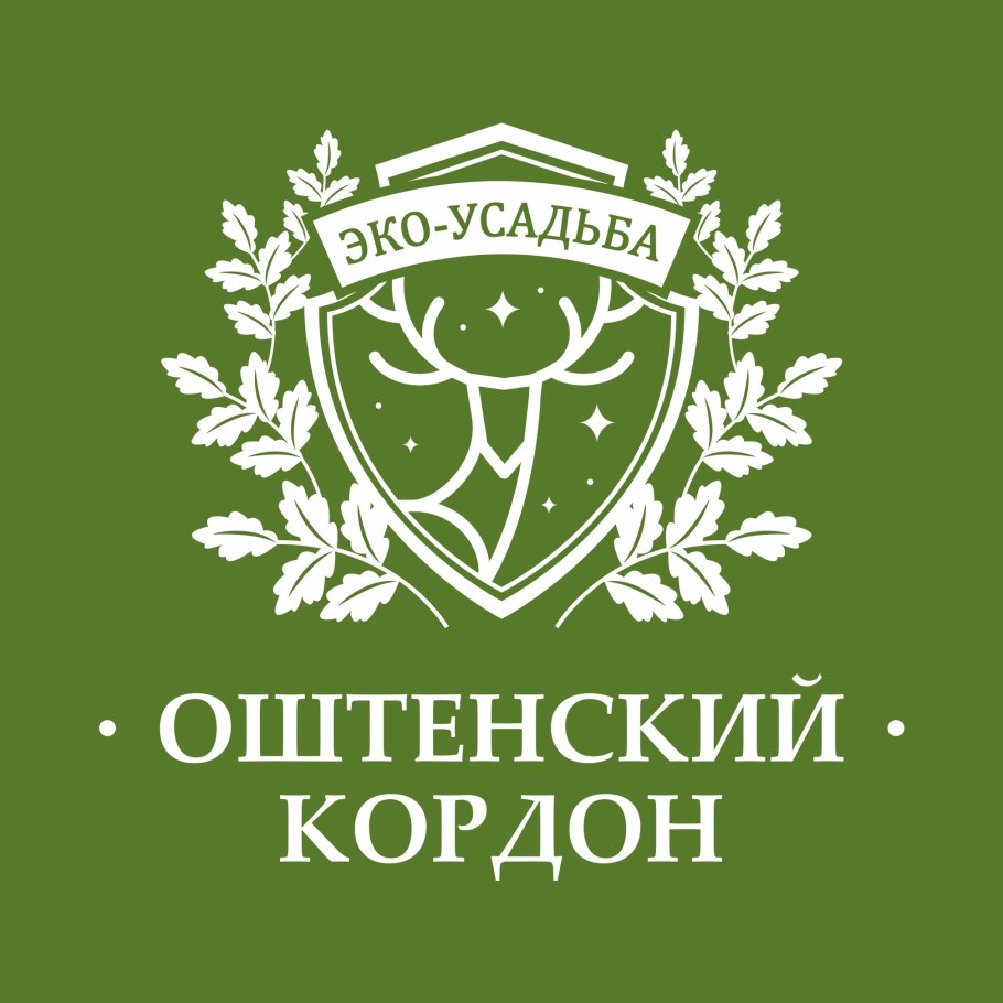 Бурачок Гмелина растение