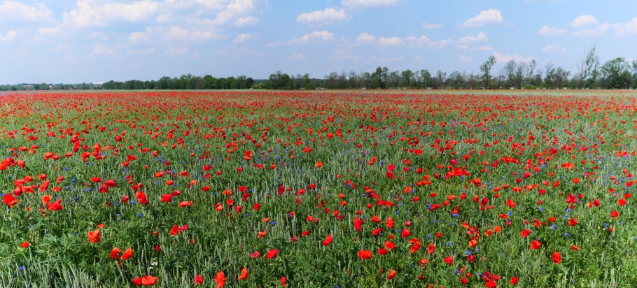 Степи Херсонщины заповедник