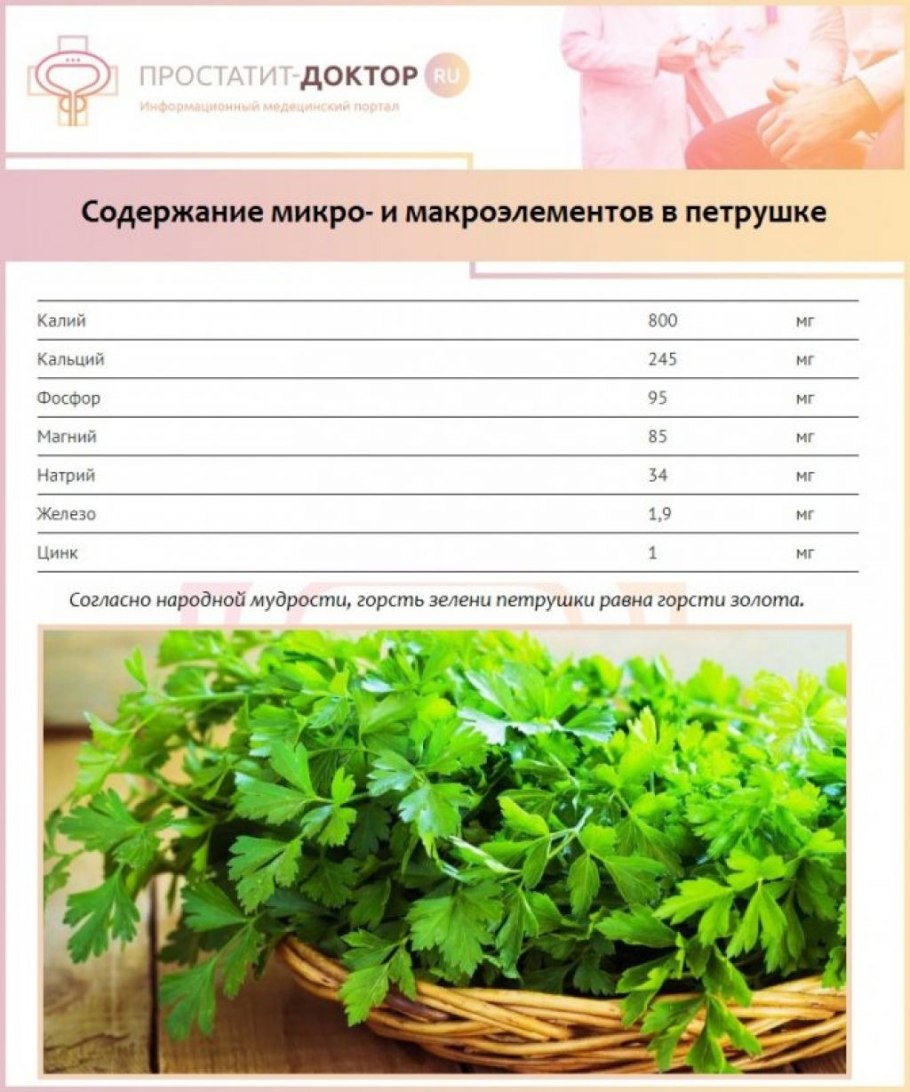 Букет петрушки