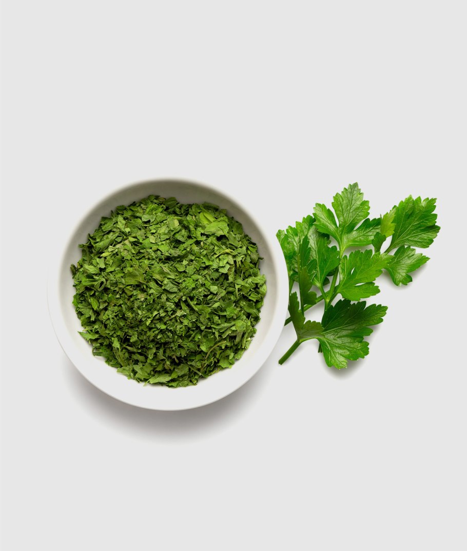 Веточка кинзы