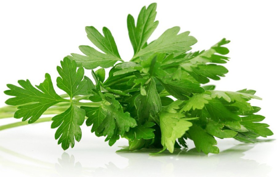 Шпинат руккола сельдерей