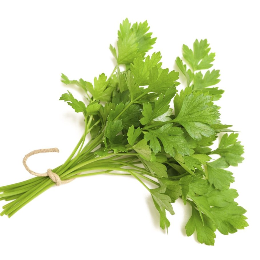 Петрушка в горшке