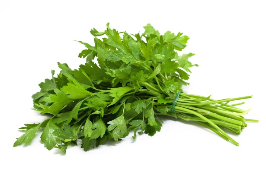 Корень петрушки приправа