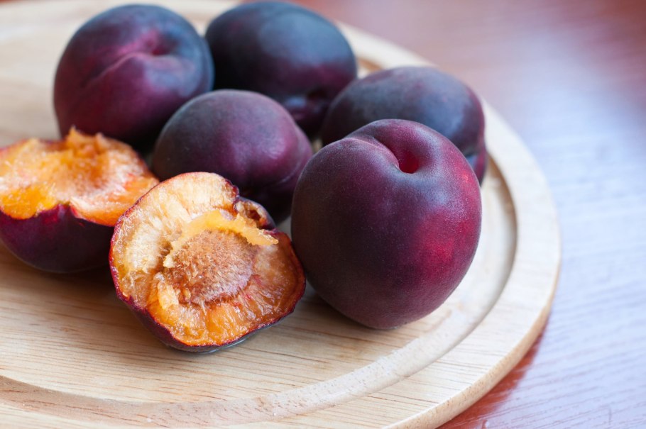 Абрикос черный принц