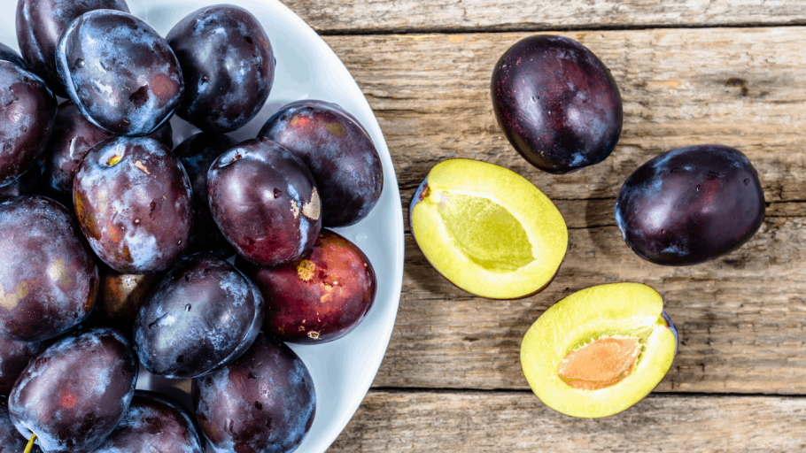 Слива Кабардинская ранняя