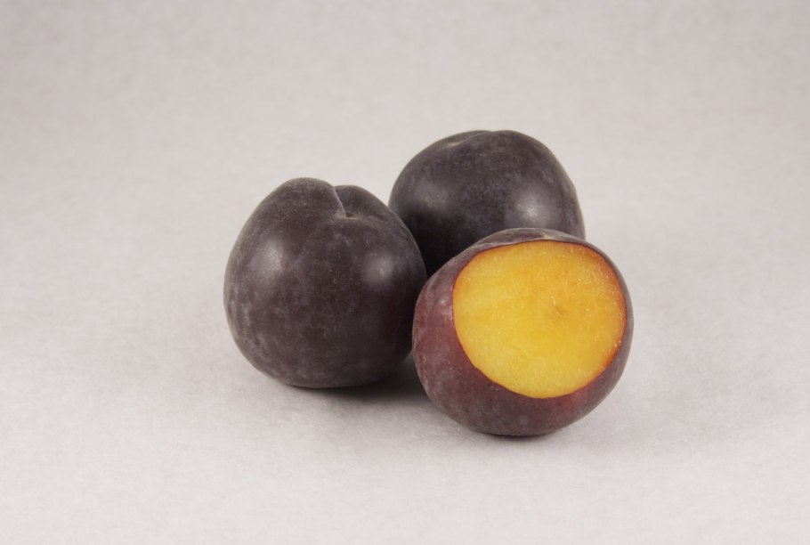 Турецкая слива