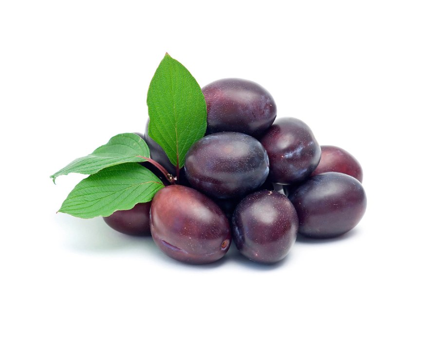 Слива сорт Блэк Даймонд