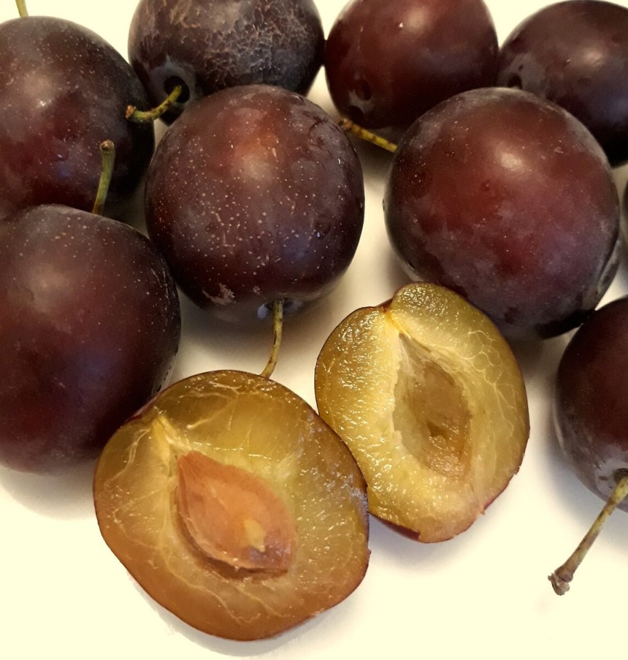 Слива Блю Свит колоновидная