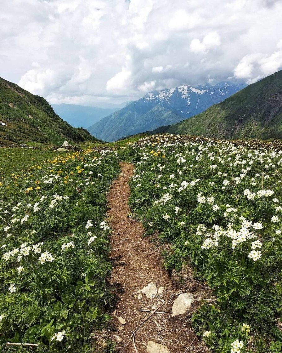 Альпийские Луга Абхазии, Пыв