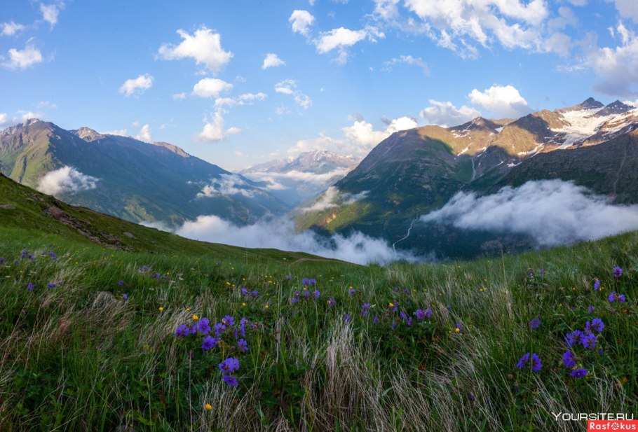 Приэльбрусье Альпийские Луга