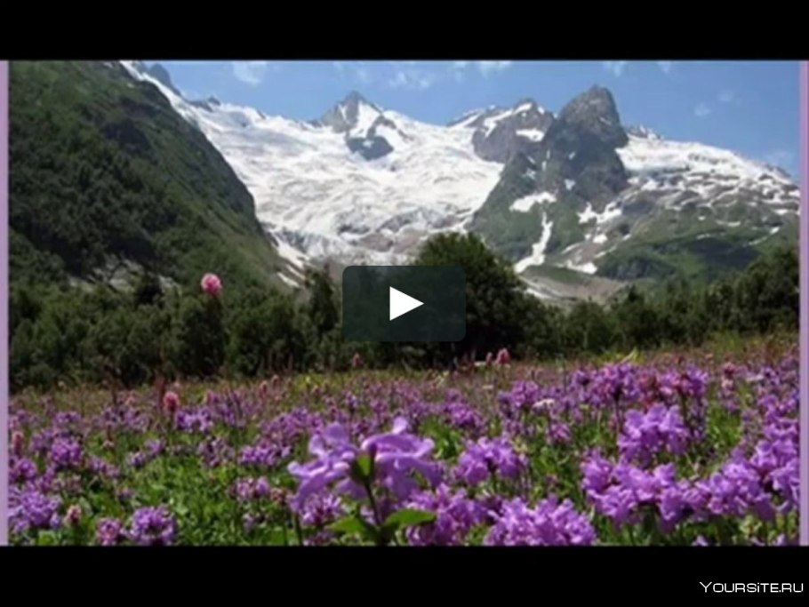 Домбай Альпийские Луга