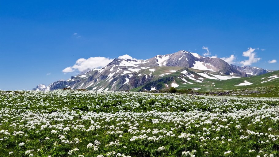 Альпийские Луга Лагонаки