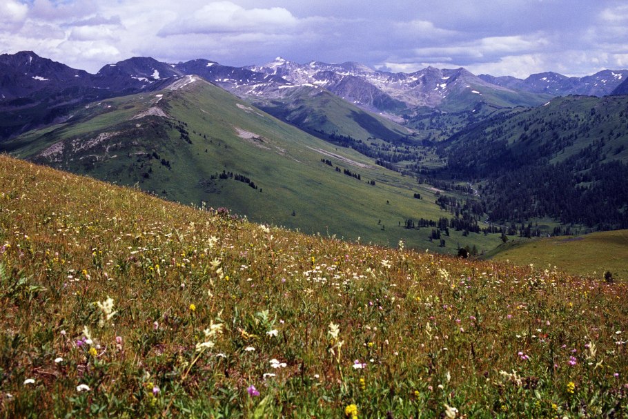 Катунский заповедник Альпийские Луга