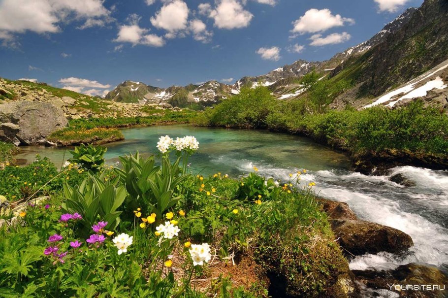 Тебердинский заповедник Альпийские Луга