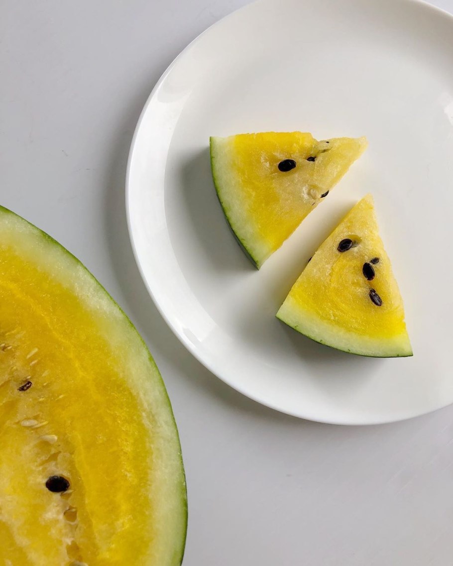 Арбуз стеклопластик