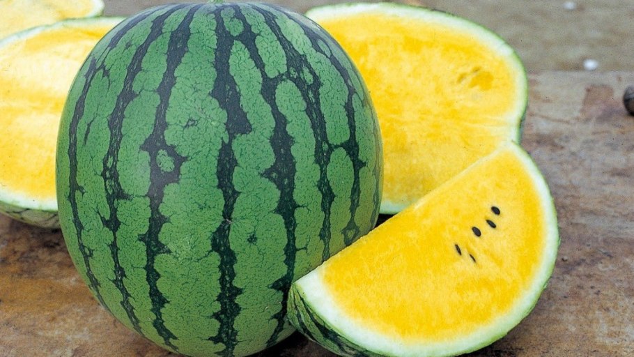 Арбуз с желтой мякотью