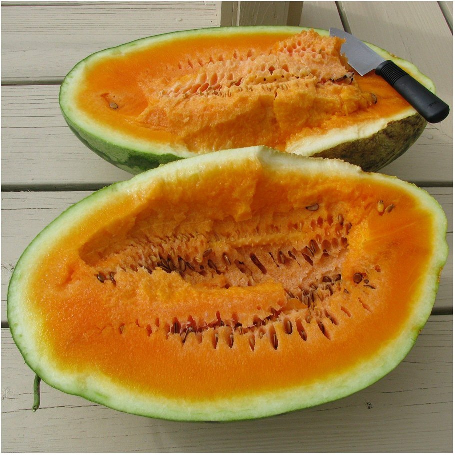 Арбуз в руках