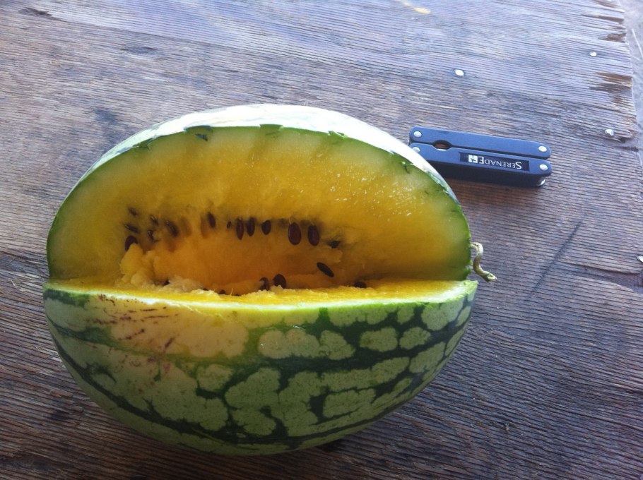 Херсонские арбузы