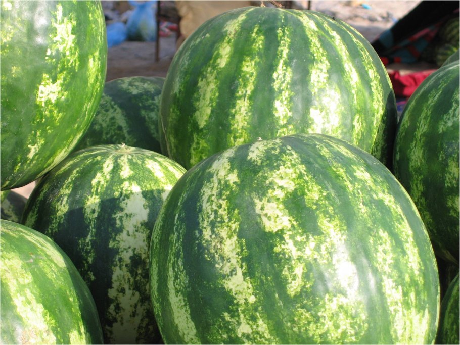Разные сорта арбузов