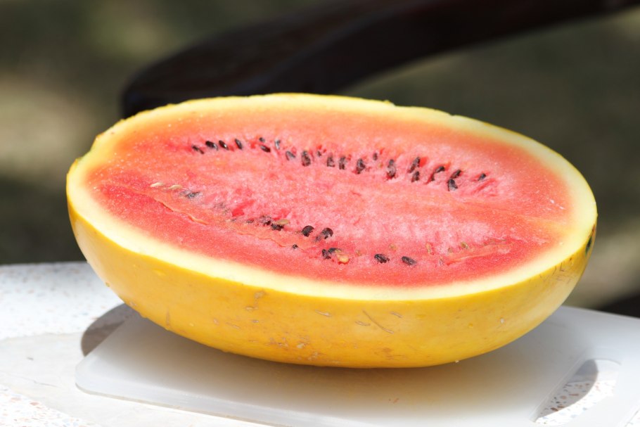 Superlux Watermelon Арбуз